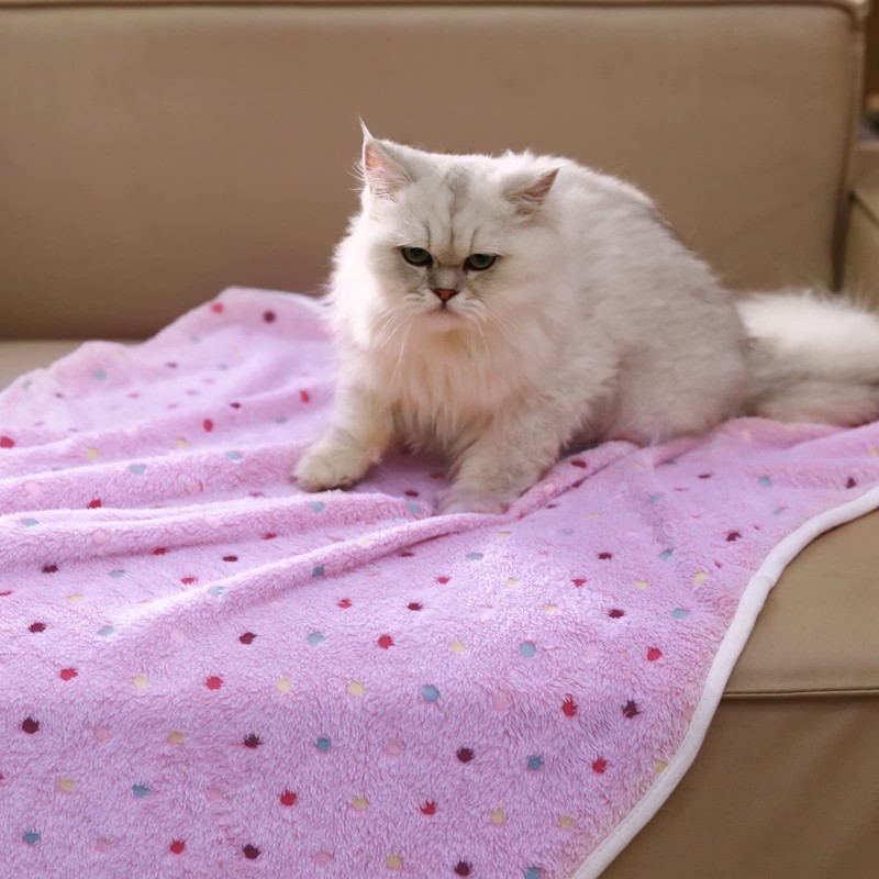 luciphia 1 Pack 3 Dog Blanket Made by Super Soft