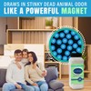 SMELLEZE Natural Dead Animal Odor Removal 2 lbs Powder: Eliminate