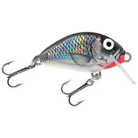 Salmo Tiny Wobbler Trout Wobbler Perch Wobbler Pike Bait Trout Bait Fishing Lure Holo Grey Shiner 3 cm / 2.5 g / Sinking / 0.3-0.3 m