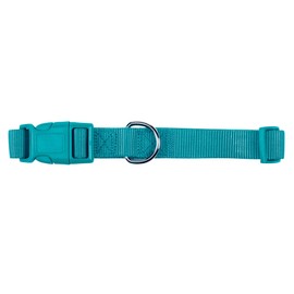 Zack & Zoey ⅜" Wide Nylon Dog Collar, Fits Necks 6" to 10", Bluebird