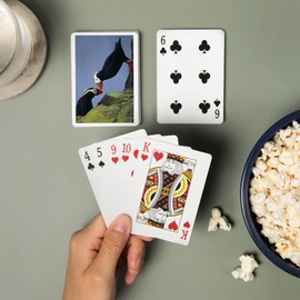 Lantern Press Tufted Puffins Kissing (52 Playing Cards, Poker Size Card Deck with Jokers)