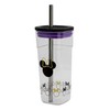 Stor Large Reusable Plastic Cup with Stainless Steel Straw -