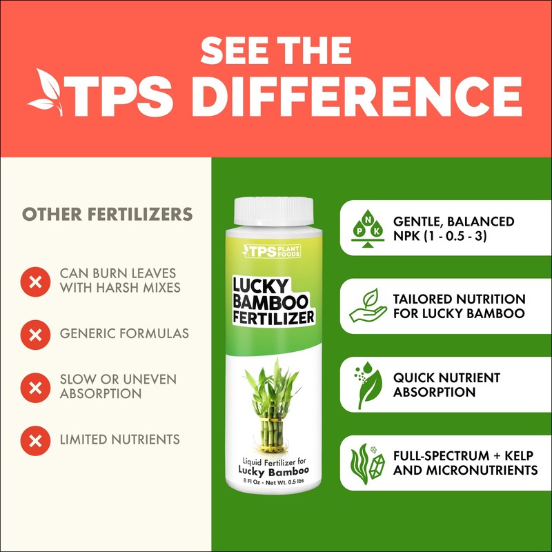Lucky Bamboo Fertilizer – Liquid Plant Food for Greener Stalks,