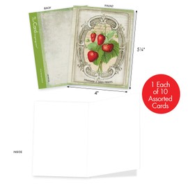 The Best Card Company - 10 Retro Blank Cards with Envelopes (4 x 5.12 Inch) - Artistic Boxed Assortment, Vintage Note Cards - French Fruit M4190OCB-B1x10