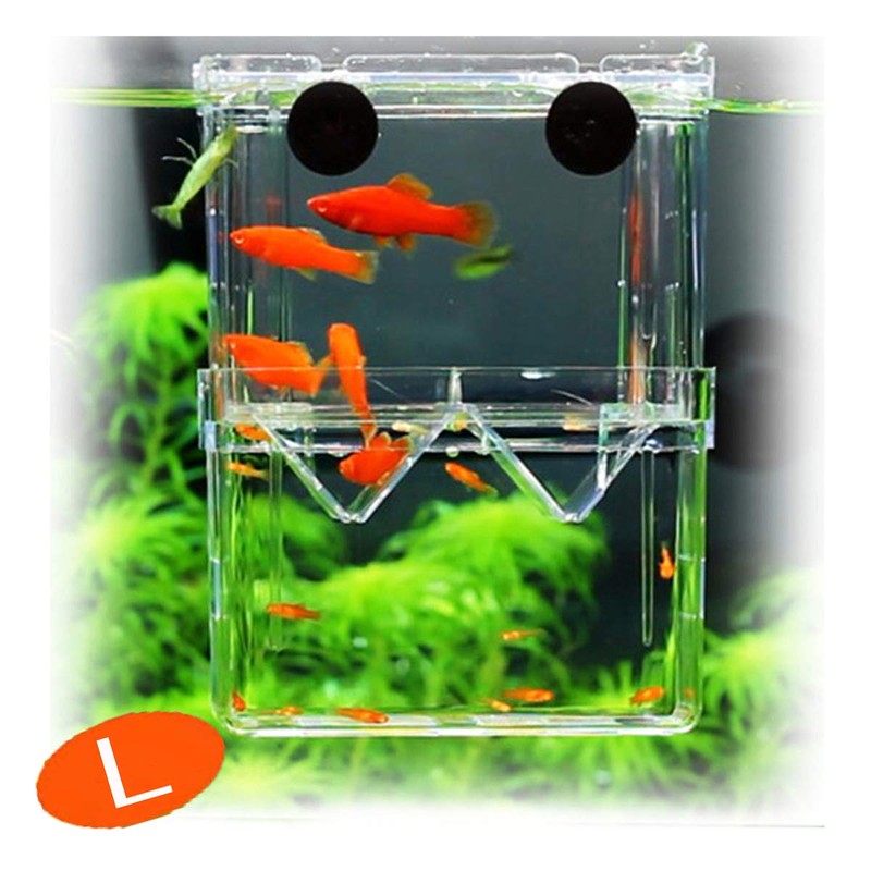 PANASONN Egg Spawning Case, Isolating Case, Multi-functional, Fish Breeding Isolation