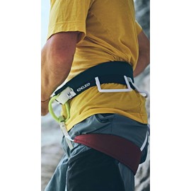 EDELRID Unisex Moe 3R Climbing Harness, Assorted Colours, M