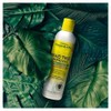 Jamaican Mango & Lime"Braid & Twist Remover" - 8 Oz,Pack