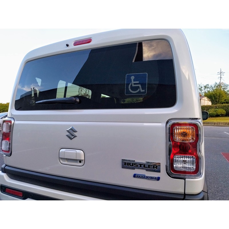 Disabled Facilities (Wheelchair) Mark, Removable From Inside Window, Suction Cup
