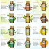 PHATOIL Essential Oil Set, Aroma Oil, Trial Set, Natural, Essential