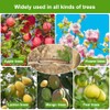 Pack of 25 Branch Separators for Fruit Trees, M-Shaped Branch