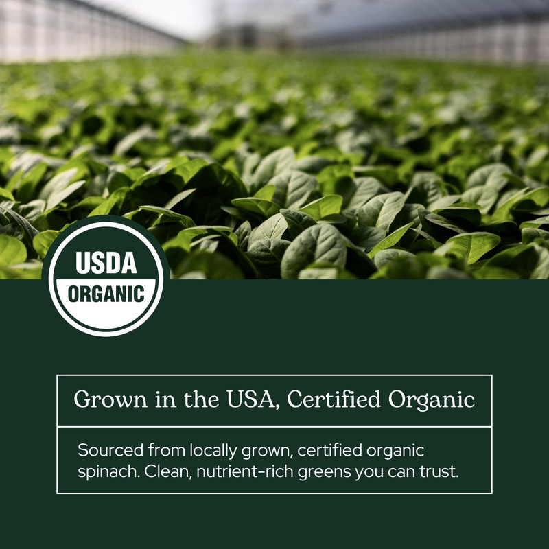 Eclectic Herb - Spinach Powder Supplement | Nutritional Support, Vitamins