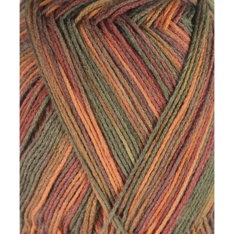 Berroco Comfort Sock Hari Hari 1811 Yarn