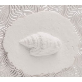 Earth Memorials The Favorite Place® Burial Biodegradable Urn for Human Ashes, (Small Shell Urn Box), Water Burial Urn, Urn for Cremation, Cremation Urn, (Shell on Metallic White Swirl Paper) R-203