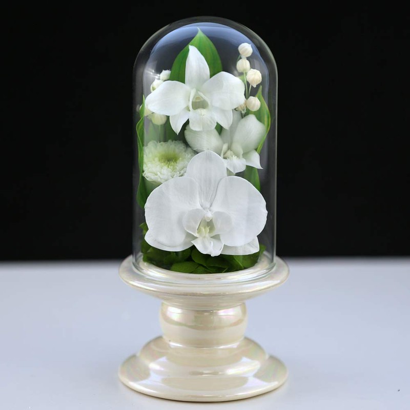Art Four Seasons Buddha Flower (White) Mini Phalaenopsis Mini Glass