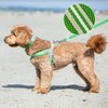 HUGO & HUDSON Easy Walk Dog Harness Adjustable No-Pull Step-in