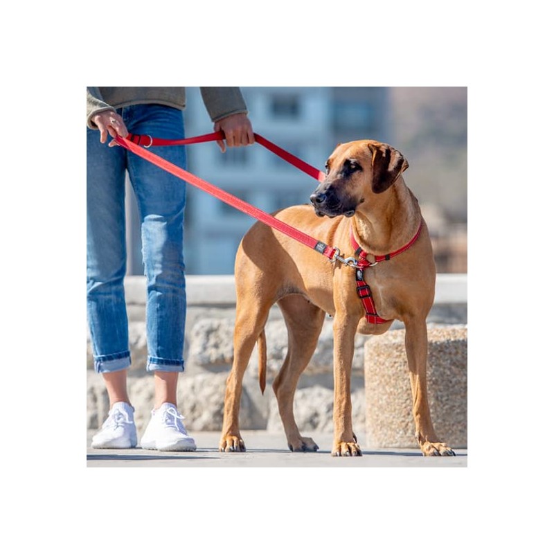 Rogz Classic Reflective Multi Dog Lead Pink Medium