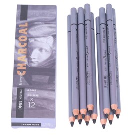 Charcoal Drawing Pencils Sketch Charcoal Pencils for Beginners, Professionals and Artists Pack of 12