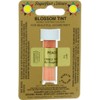 Sugarflair Blosom Tint Edible Dusting Powder - Peach