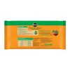 Miracle-Gro Fruit & Citrus Plant Food Spikes, 12 Spikes (2-Pack)