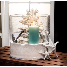 Abbott 20-SEASHORE/14 WHT Collection 3D Starfish, White (Medium)