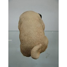 Oriental 石創 animaruobuje dogguo-namento Pug 14209