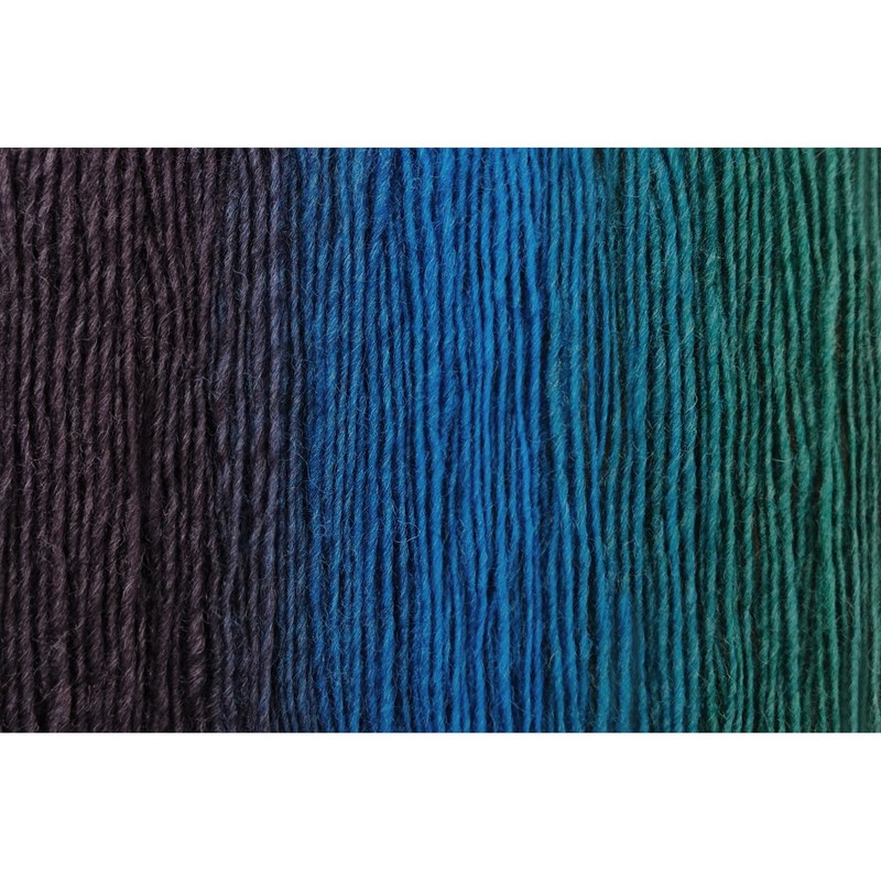 NICEEC 2 Skeins Rainbow Soft Yarn 100% Wool Gradient Multi