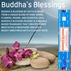 Satya Nag Champa Buddhas Blessings Incense Sticks | x3 pack