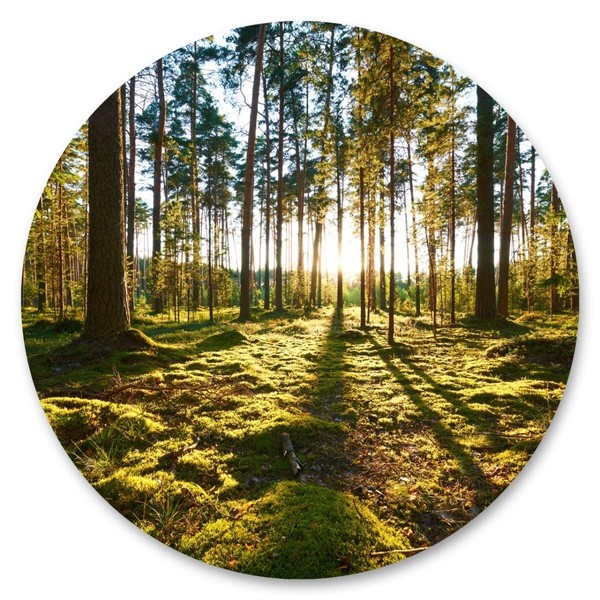 Muralo Sticker Circle Trees Forest Sun Rays Plants Nature Green