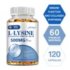 L-Lysine Capsules 500mg - Supports Healthy Connective Tissue and Calcium Absorption, 3 Count, 60 Tablets / L-라이신 캡슐 500mg - 건강한 결합 조직 및 칼슘 흡수 지원, 3개, 60정