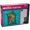 Famemaster 4D-Science Plant Cell Anatomy Model