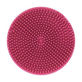Fancy Pets Expert Grooming Goma Limpiadora de Pelo para Perro