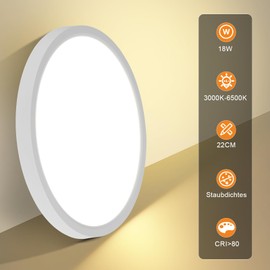 Laittiin Ceiling Light LED Ceiling Light Flat Diameter 22 cm Round Bathroom Lamp Ceiling 18 W Ceiling Lighting Bedroom Bathroom Lamp 3000 K / 4000 K / 6500 K Kitchen Lamp for Bathroom/Balcony/Basement