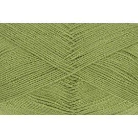 Gründl Big Mamma uni (Strick- & Häkelgarn mit wollähnlichem Charakter aus 100 % Polyacryl, 400 g / 1040 m, Nadelstärke: 3,5 - 4,5, 1 x 400 g), grasgrün, 29 x 16 x 12 cm