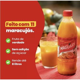 Concentrado para Suco de Maracujá Brasileiro Maguary 1L | Pack of 2 x 1L | Brazilian Concentrated Passion Fruit Juice | Brazil in Texas Bundle