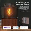 Roku Smart Home Indoor Smart Plug, 2-Pack - WiFi Smart