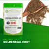Herb-ology.co.uk Nature's Technology HB Goldenseal | 60 Goldenseal Root Capsules