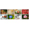 32 Different Flower Photo Blank Greeting Cards
