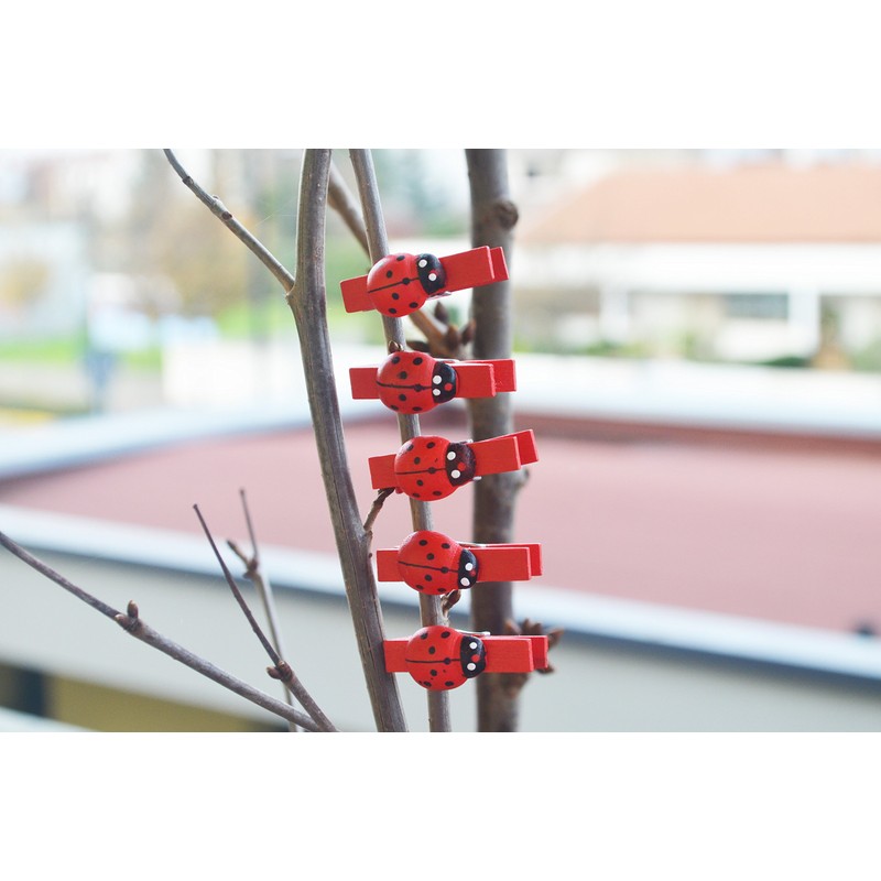 C.X.Y. 48 Wooden Clothes Pegs with Ladybird for Labelling Places,