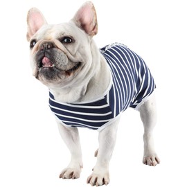 Etdane Dog Diapers Sanitary Panties Physiological Period Shirts Surgical Recovery Suits for Male and Female Dogs (Large, Blue Stripe)