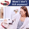 Fuzzy Friends Red Hemp Dog Collar - Hypoallergenic Dog Collar