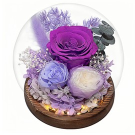 Flowers Roses Gifts for Mom, Forever Real Preserved Roses in Glass Dome, Mothers Day for Wife Girlfriend Women Best Friend Grandma,Birthday Gifts for Women (Purple Rose)
