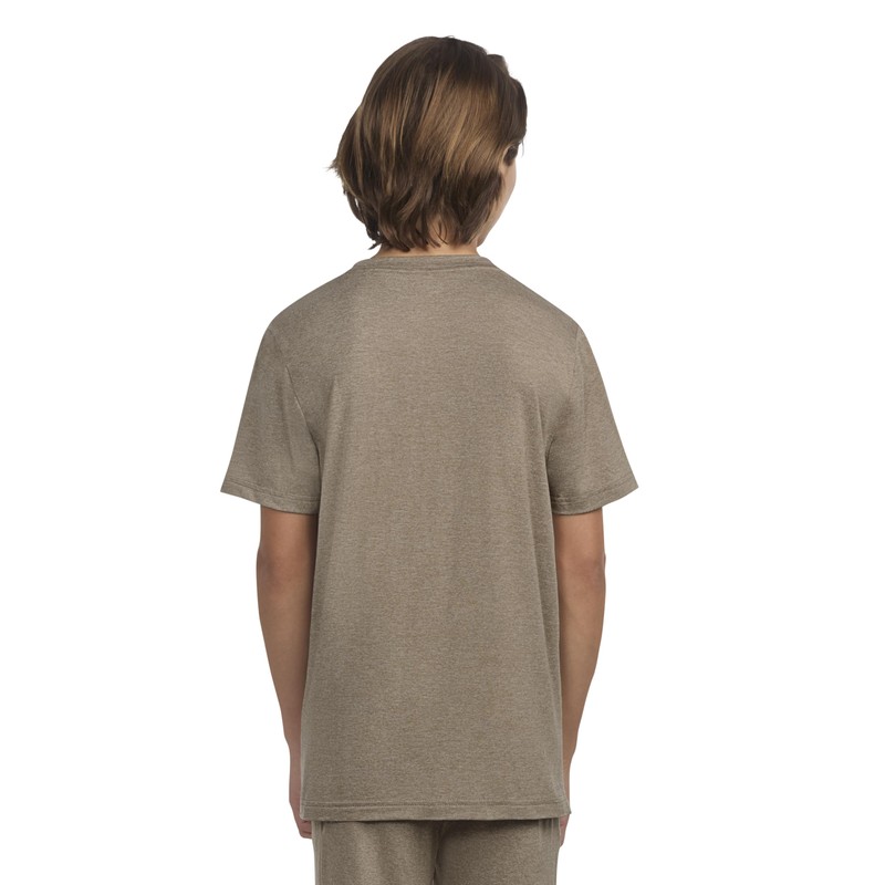Hurley Boys' Soft Basic T-Shirt, Rattan Heather