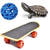 FupetDay Tortoise Treat Ball & Skateboard Toy Set - Feeding