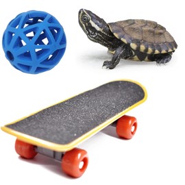 FupetDay Tortoise Treat Ball & Skateboard Toy Set - Feeding Ball for Vegetables & Grass | Toys for Small Pets, Tortoises, and Turtles