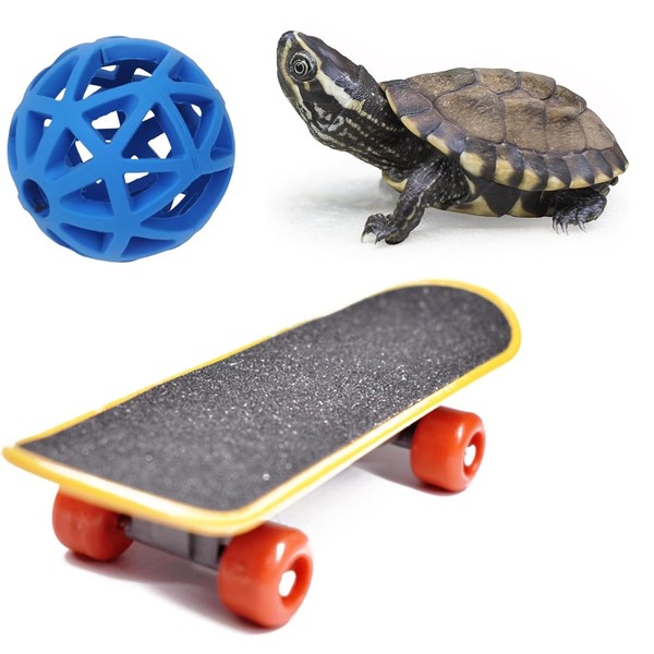 FupetDay Tortoise Treat Ball & Skateboard Toy Set - Feeding