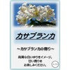 Asahi Bath Salt, Bath Cosmetics, Casablanca, 10.6 oz (300 g)