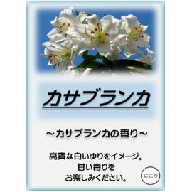 Asahi Bath Salt, Bath Cosmetics, Casablanca, 10.6 oz (300 g)