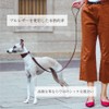 Ferplast Genuine Leather Dog Lead VIP, Leather Dog Leash, Length