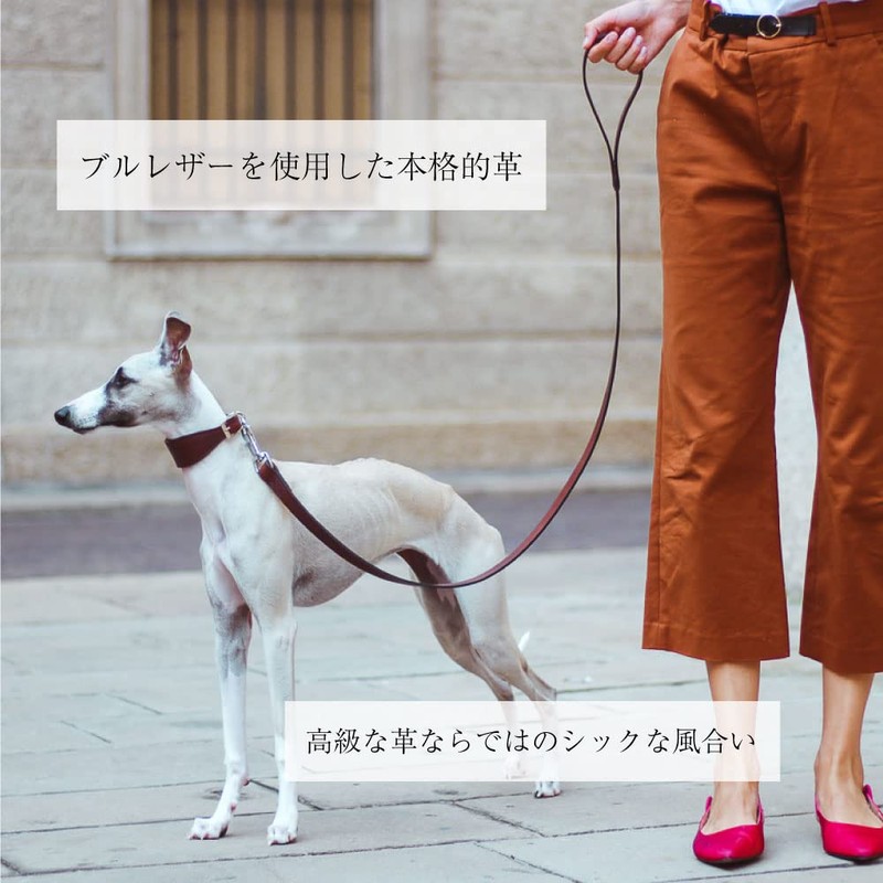 Ferplast Genuine Leather Dog Lead VIP, Leather Dog Leash, Length