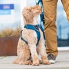 DOG Copenhagen Comfort Walk Pro 3.0 Harness, Classic Red, S